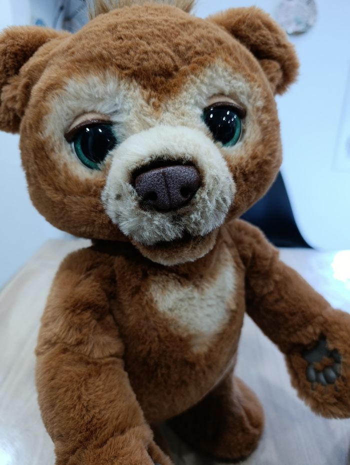 Ours interactif - photo numéro 5