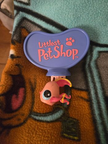 Petshop poisson 🐟