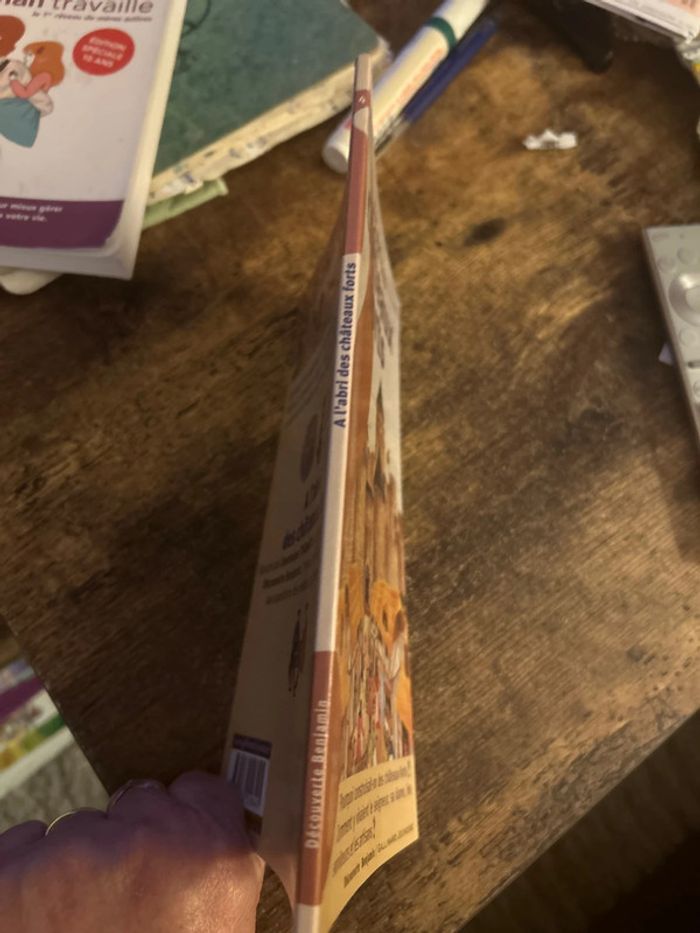 À l’abri des châteaux forts - photo numéro 3