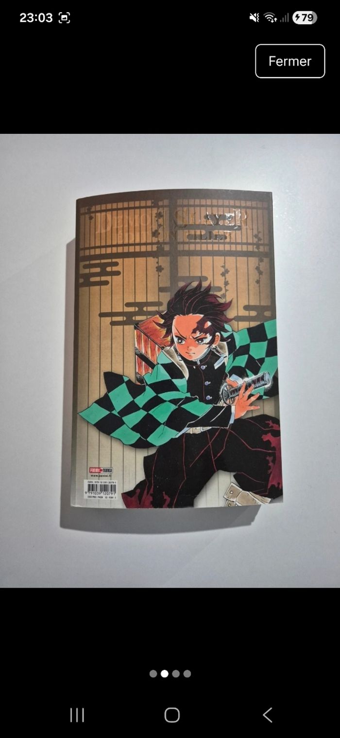 Demon Slayer - photo numéro 2