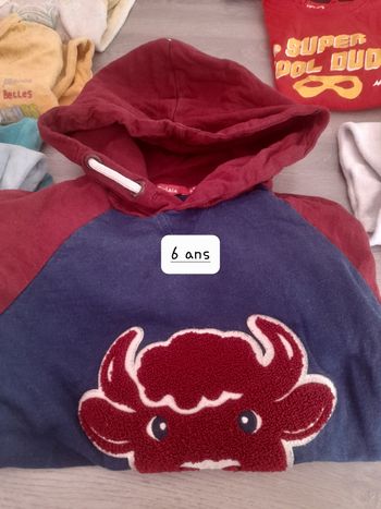 Pull 6 ans