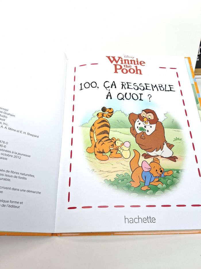 Livre Disney Winnie l'ourson 100, ça ressemble à quoi ? - photo numéro 4