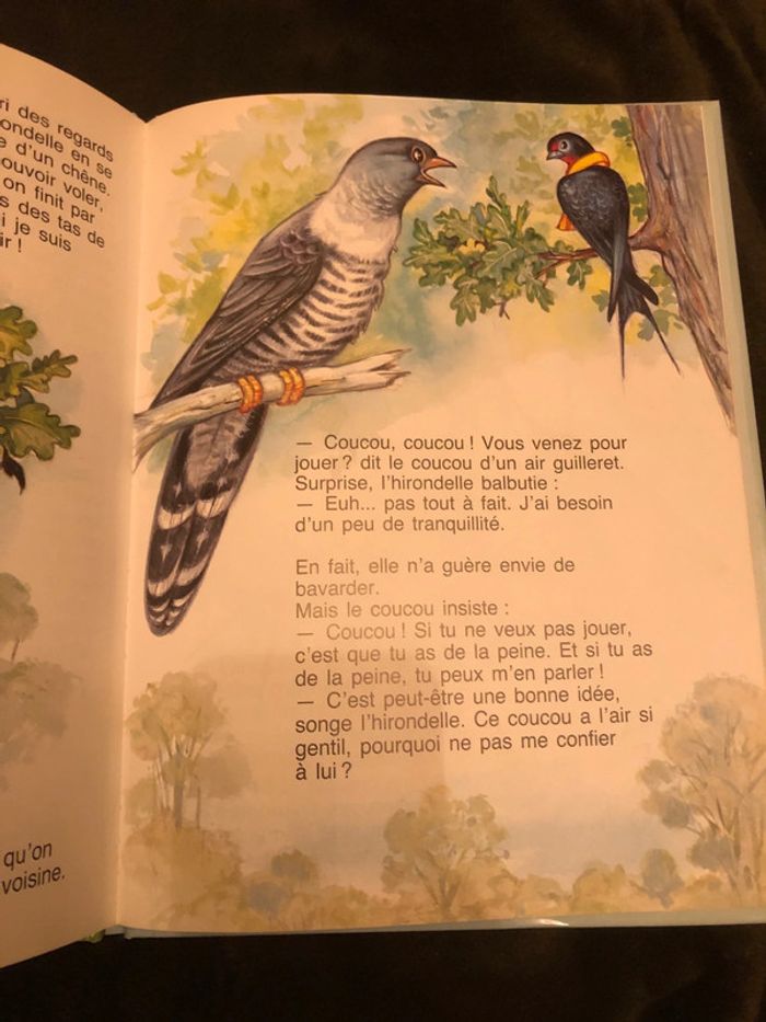 L’hirondelle est de retour - photo numéro 3