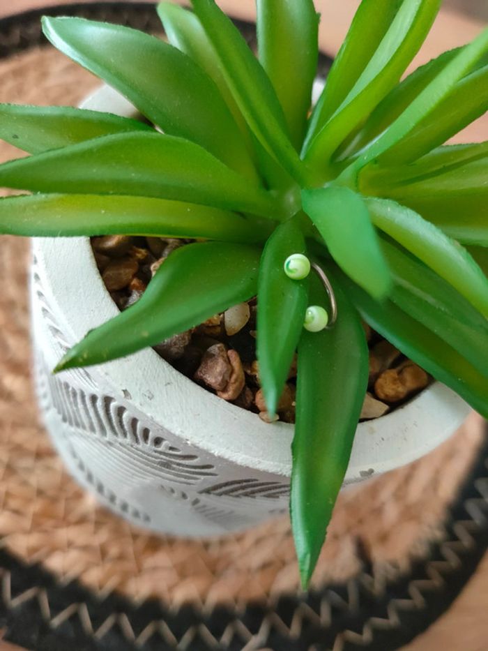 🎀Piercing anneau🎀 - photo numéro 2