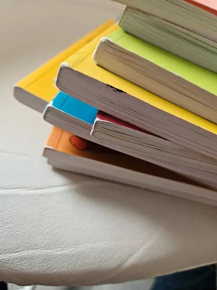 Lot 9 livres Mortelle Adèle - photo numéro 9