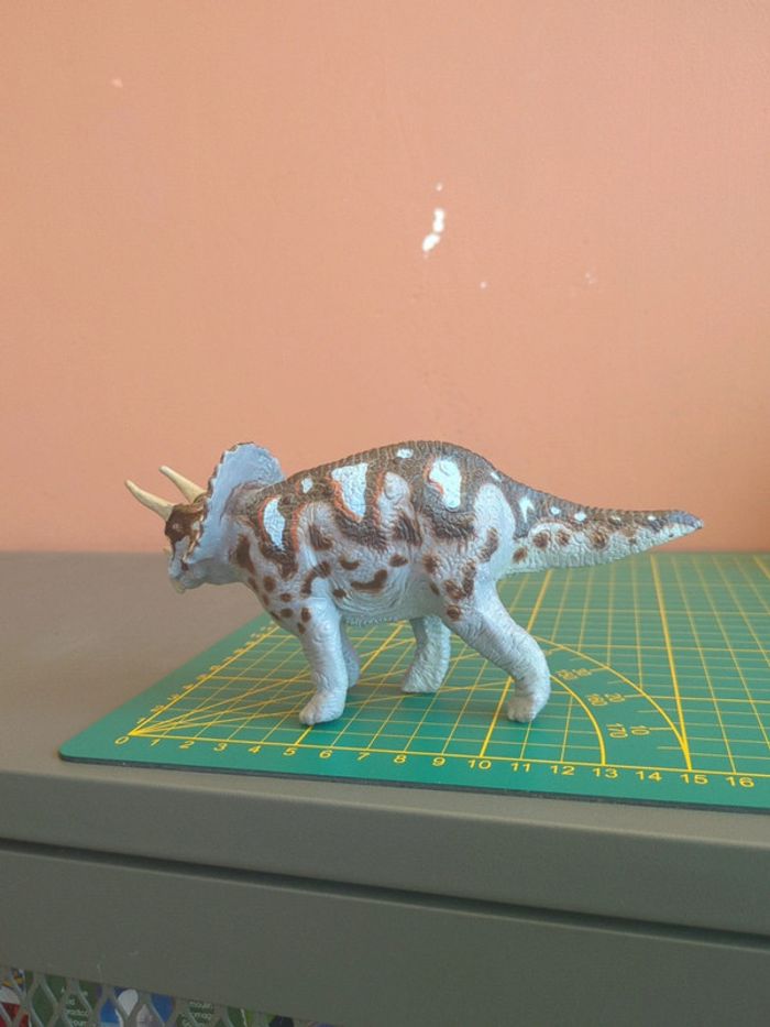 Triceratops Safari - photo numéro 2