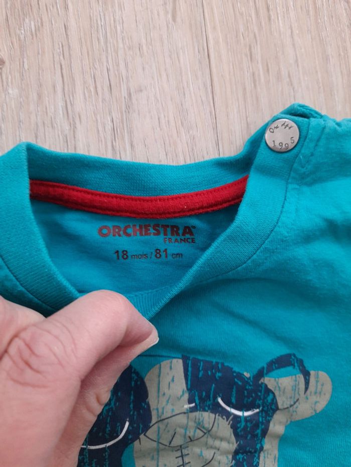 Tee shirt vert - photo numéro 3