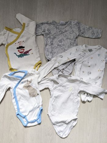 Lot 5 bodies T3