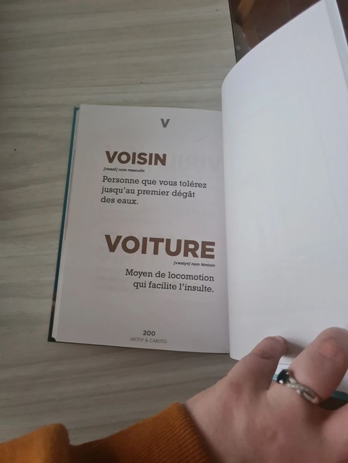 Dictionnaire mc fly et carlito - photo numéro 3