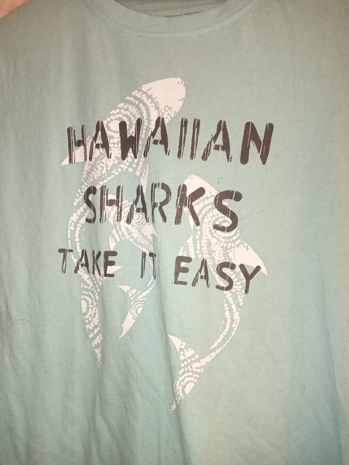 Tee-shirt (2-) - photo numéro 2