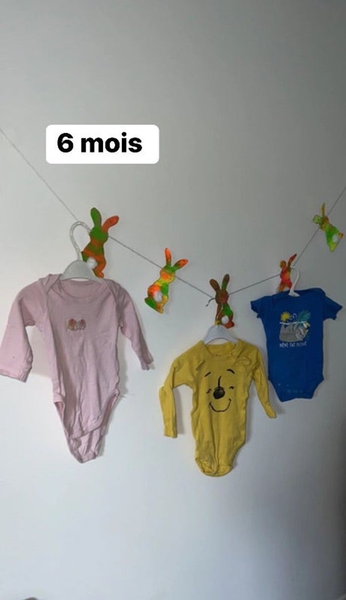 Lot 3 bodies