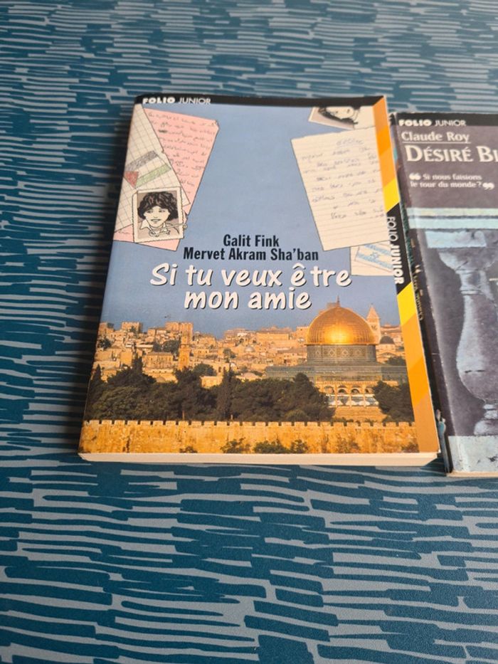 Romans jeunesse - photo numéro 2