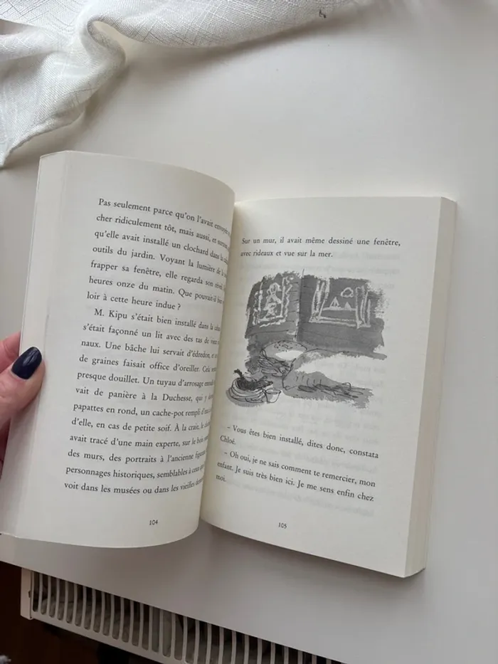 Livre Monsieur Kipu - photo numéro 2