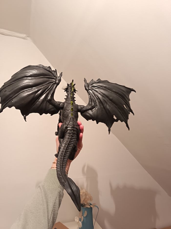 Grand Dragon - photo numéro 2