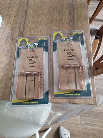 Lot 2 tapettes a rats neuves