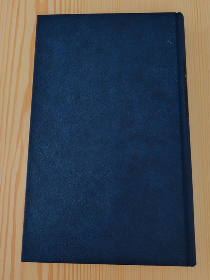 Marie-Pierre de Cossé-Brissac 🍀 Le cahier indien - photo numéro 3