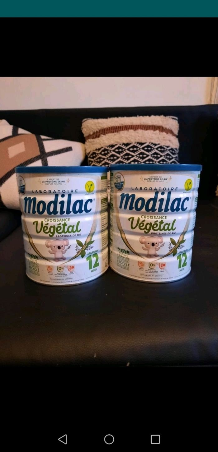 Modilac croissance végétale - photo numéro 2