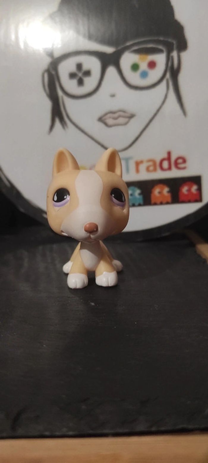 My Littlest Petshop Pet Shop LPS Bull Terrier 860 hasbro dog Yellow Purple Chien - photo numéro 2