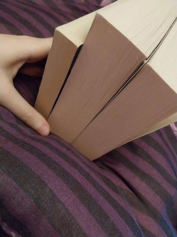 Romans Trilogie complète Angelfall tomes 1 à 3 Susan Ee Pocket Jeunesse - photo numéro 6