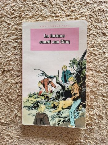 Livre La Fortune Sourit aux 5 - Bibliothèque Rose (1997)