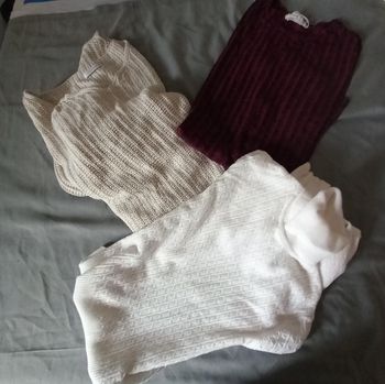 Lot de 3 pulls taille 36-s