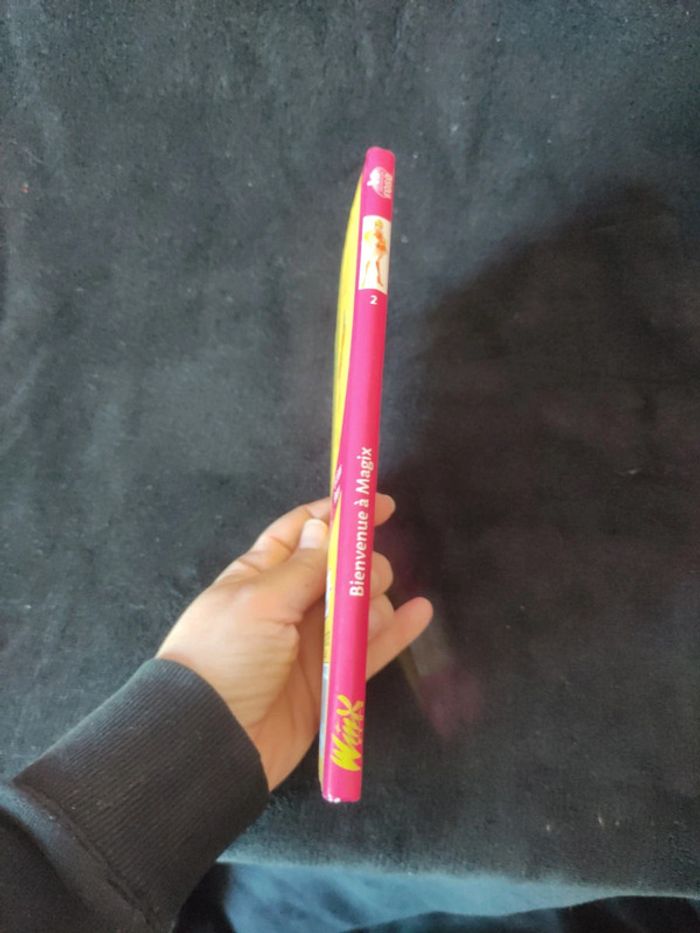 Livre Winx - photo numéro 3