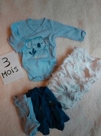 Lot 8 bodies