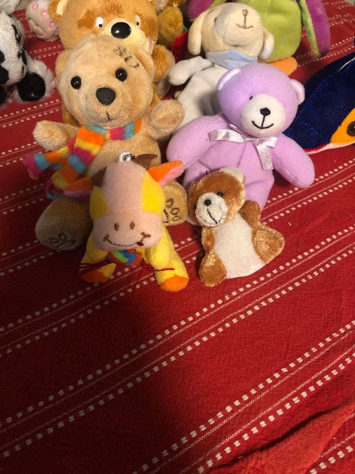 Lot peluche - photo numéro 2