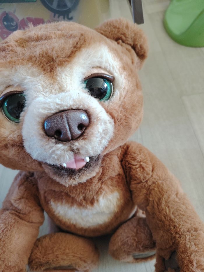 Cubby l'ours curieux - photo numéro 2