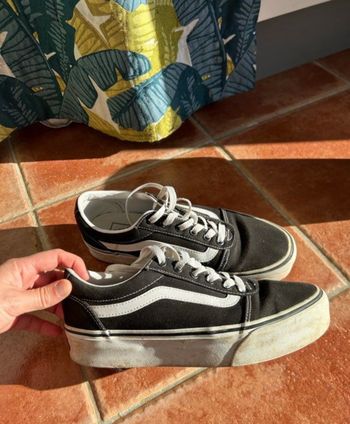 Basket Vans