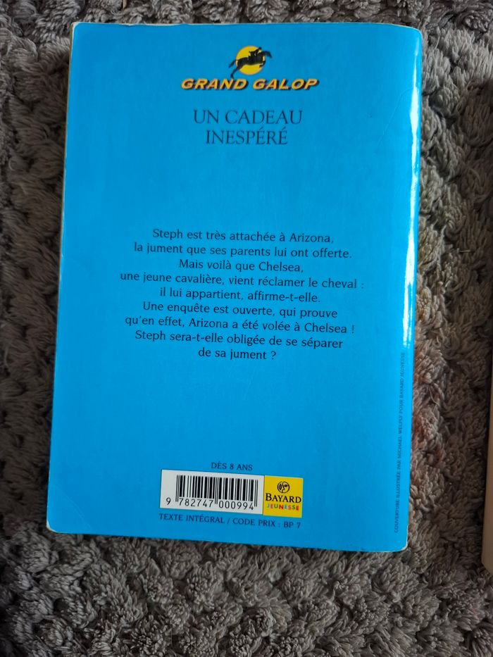 Lot de 2 livres collection Grand Galop de Bonnie Bryant en bon état - photo numéro 2