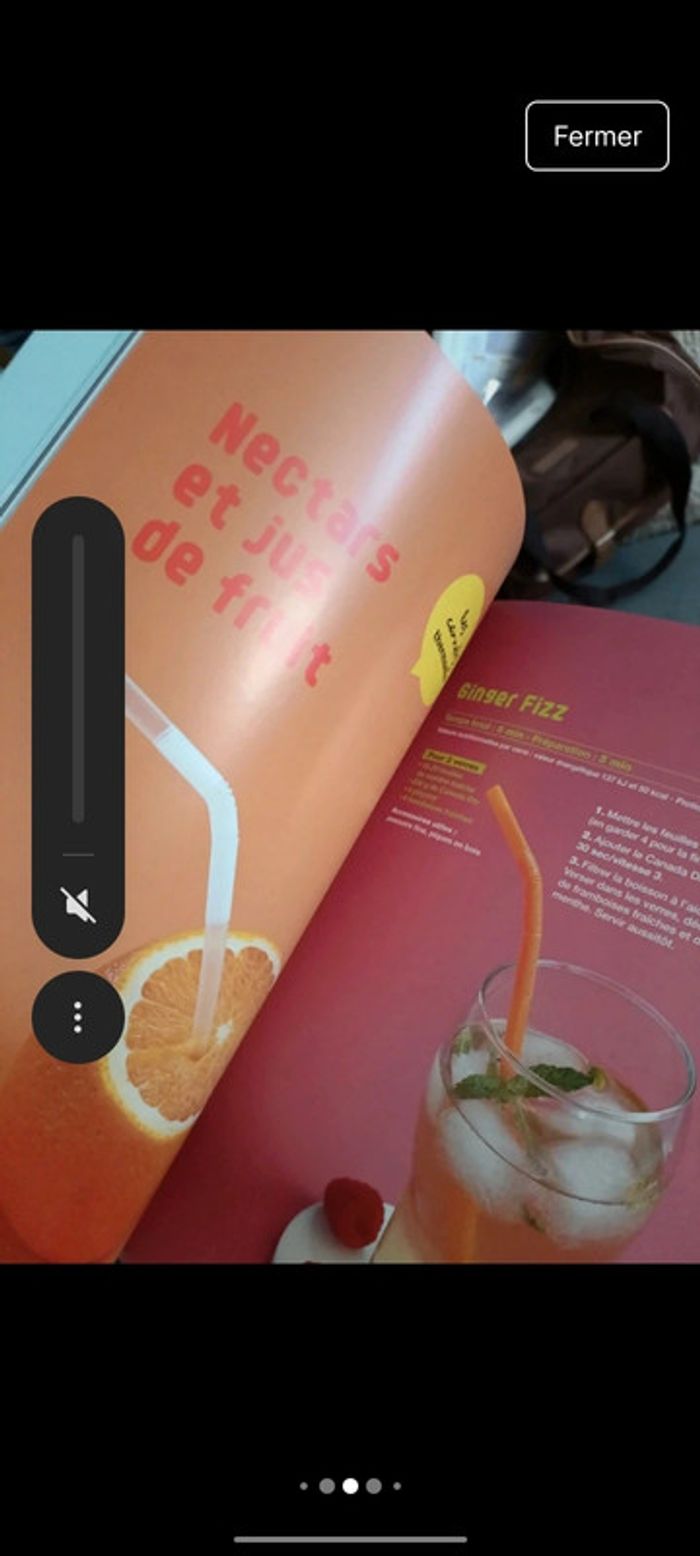 Les sauces boissons et cocktails Thermomix - photo numéro 5