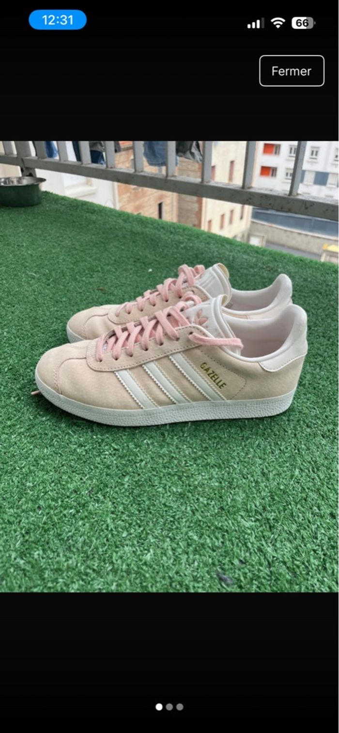 Adidas gazelle