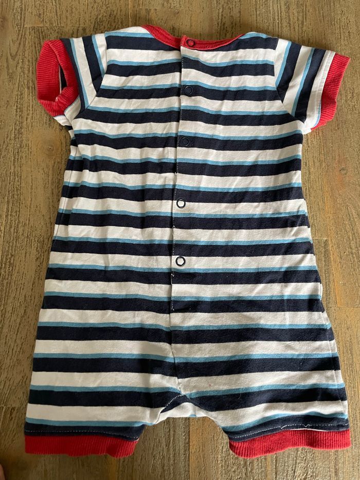 Barboteuse sergent major - photo numéro 3