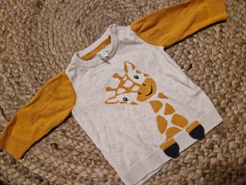 Pull girafe