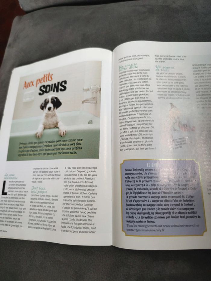 Hors série natur'elle Mon chien numéro 5 février mars 2019 - photo numéro 10