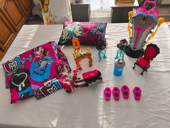 Lot accessoires monster high