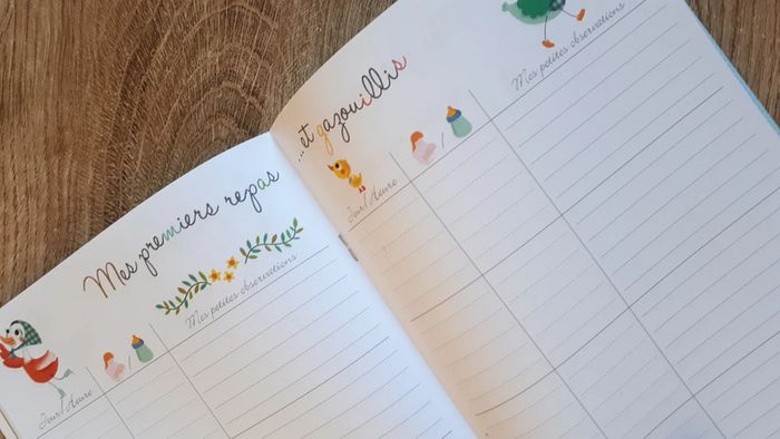 ⭐ Mon carnet des premiers jours ⭐#emyfleury_accessoiresbébé - photo numéro 3