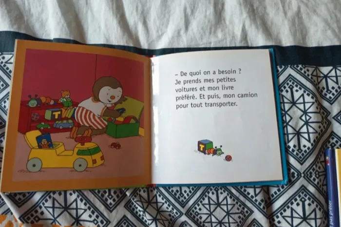 T'choupi fait une cabane - photo numéro 3