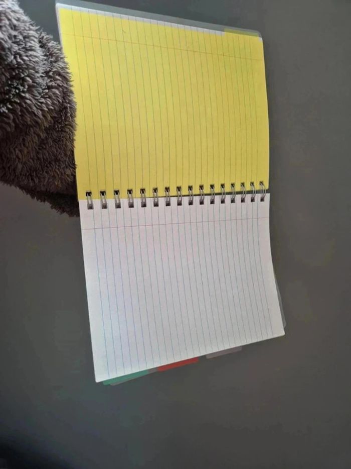 Petit cahier - photo numéro 5