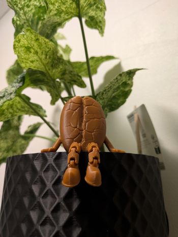 Décoration grain de café