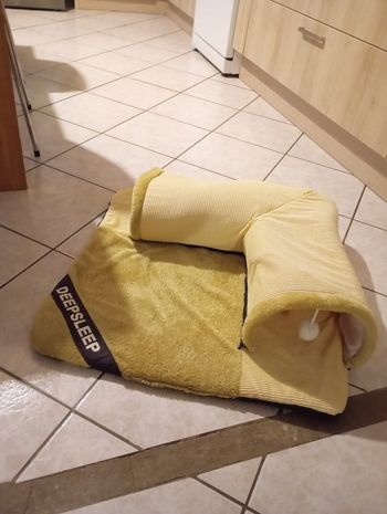 MagiDeal Lit Tunnel créatif pour Chat avec Tapis Amovible