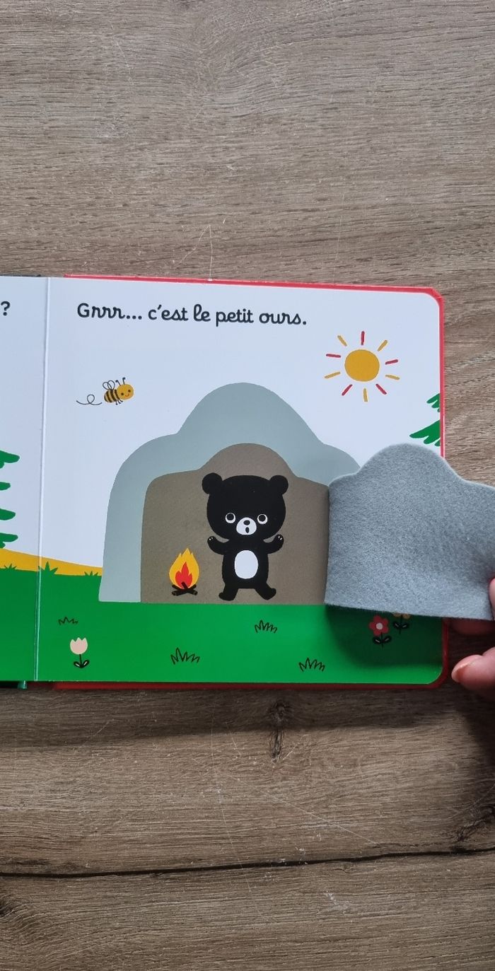 Livre à volets : On se cache ? - photo numéro 6