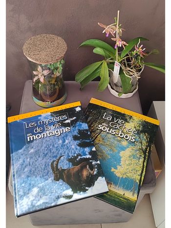 Lot de deux livres Nature en France