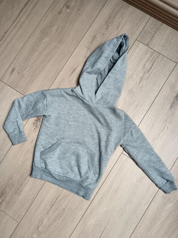 Sweat gris