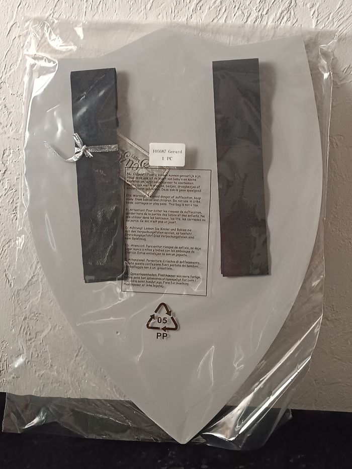 Déguisement bouclier Souza - photo numéro 5