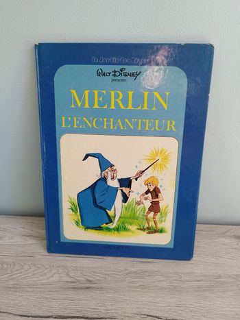 Livre vintage Disney le jardin des rêves Merlin l'enchanteur 