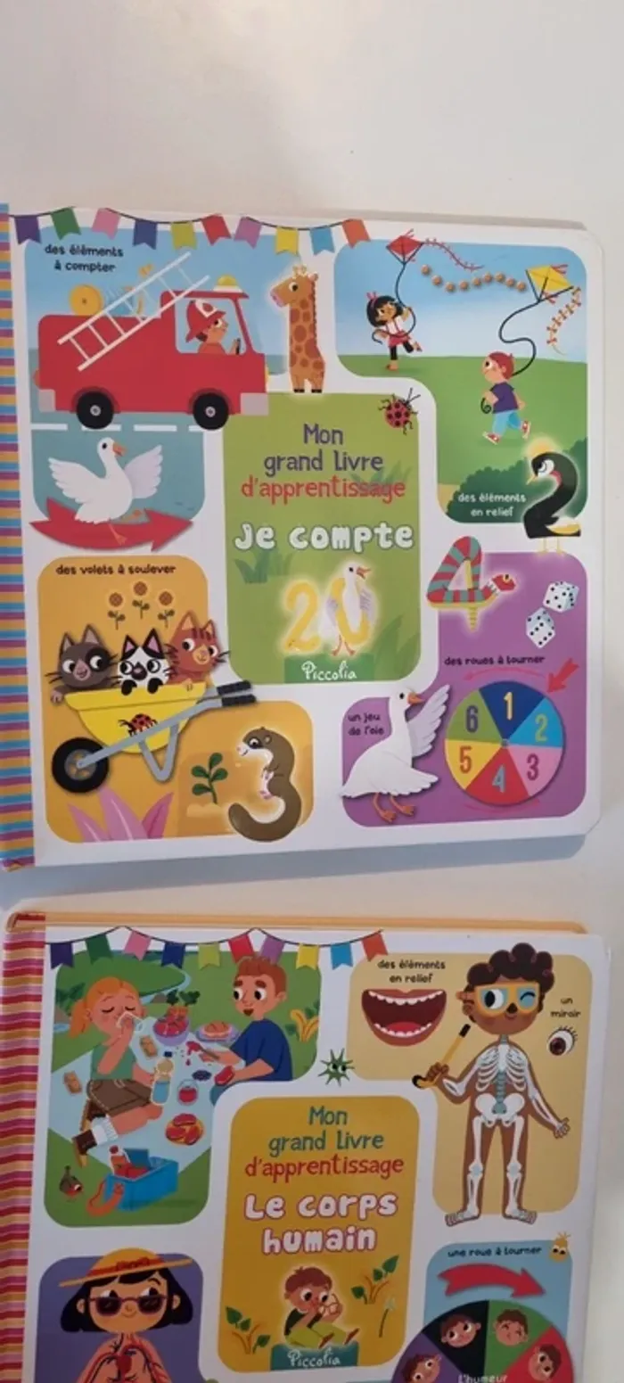 Lot de 2 Mon grand Livre d'apprentissage - photo numéro 2