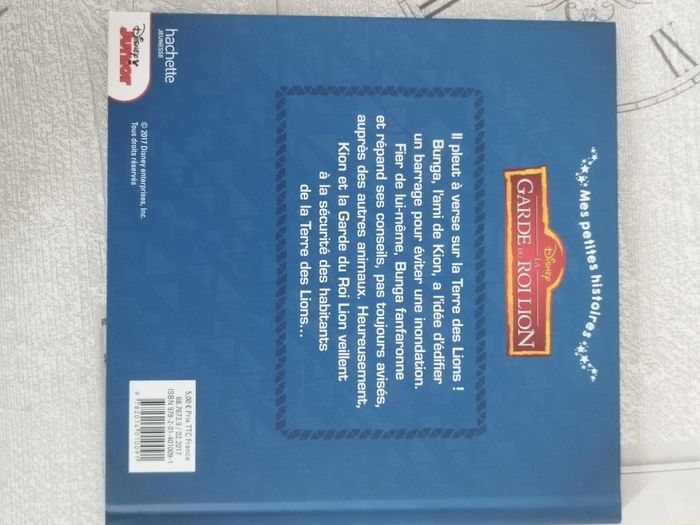 Livre garde du roi lion - photo numéro 2