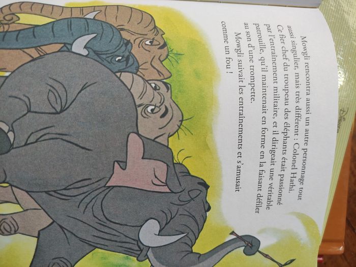 Livre Disney - photo numéro 2